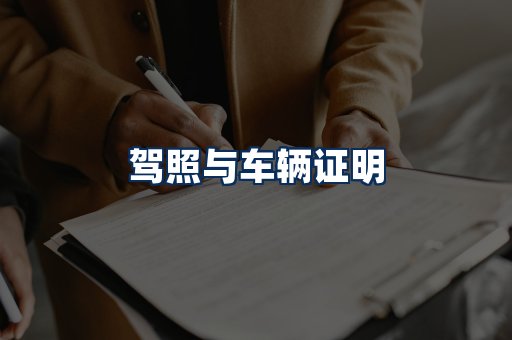 车辆证明展示